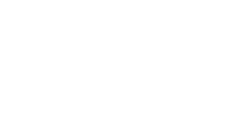 LOGO_API_BLANC